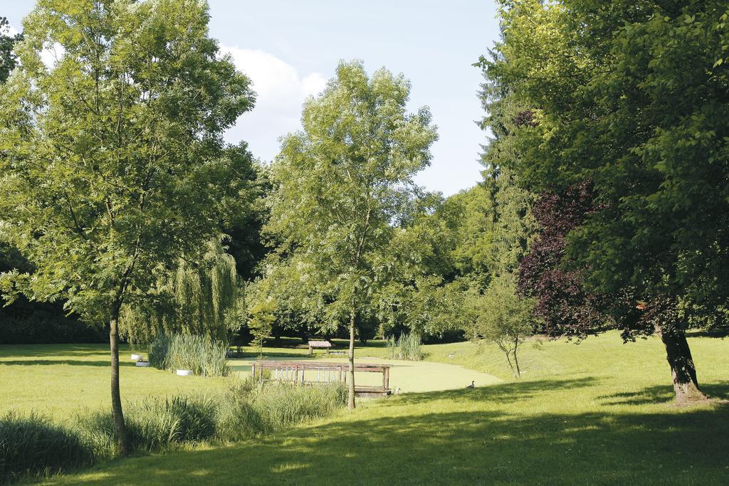 Logis Hotel - Restaurant Le Tulipier Vienne-le-Château Стая снимка